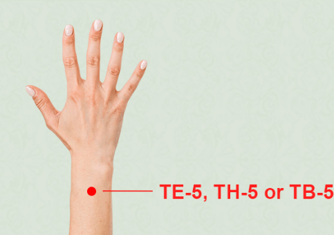 TE5 pressure points